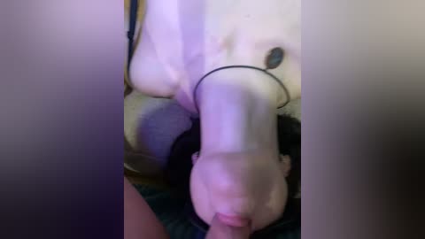 arylexy free recording from 2026-01-16 14:38:00