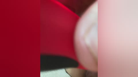 cat_meowa free recording from 2026-01-16 00:53:00