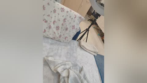 angelia22 free recording from 2026-01-17 19:34:00