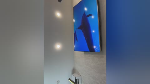 ellidi free recording from 2026-01-17 00:07:00