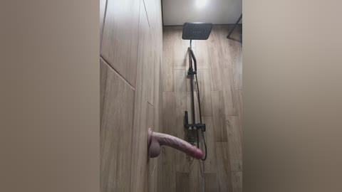 gggglaaaaaafftt596rr free recording from 2026-01-17 17:59:00