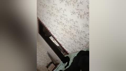 anitka free recording from 2026-01-18 11:34:00