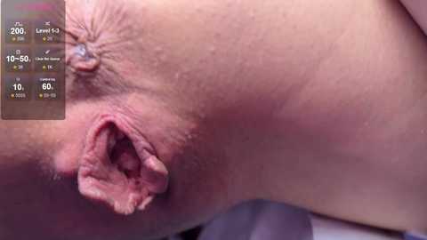 dvabomja free recording from 2026-01-18 18:59:00