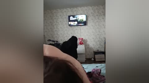 anitka free recording from 2026-04-14 02:42:00