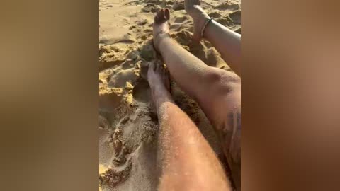 volnav free recording from 2026-01-19 10:15:00