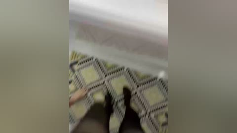 lolave free recording from 2026-01-20 07:58:00