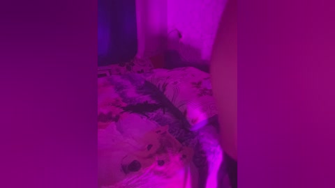 youshlut free recording from 2026-04-21 00:00:00