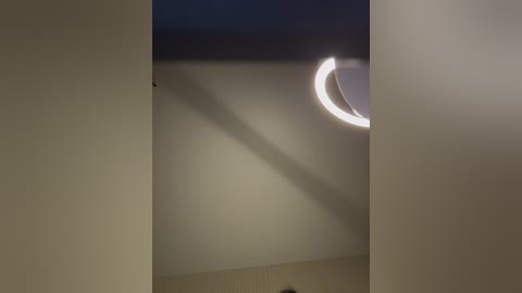 _molly_mae_ free recording from 2026-01-21 19:44:00