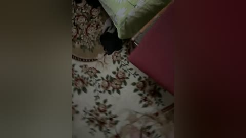 daisy12321 free recording from 2026-01-21 04:32:00