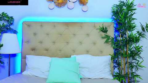 daliyaarabian free recording from 2026-01-21 20:31:00