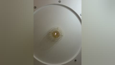 vikusha free recording from 2026-01-22 12:01:00