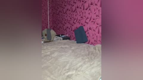 cat_meowa free recording from 2026-01-23 22:11:00