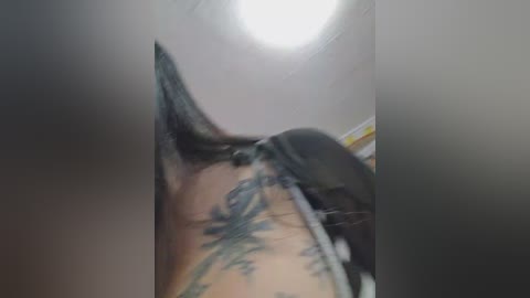 koks69a free recording from 2026-01-23 21:04:00