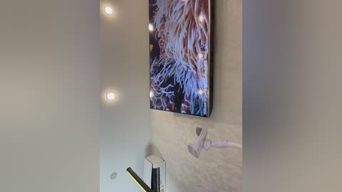 ellidi free recording from 2026-01-25 11:55:00