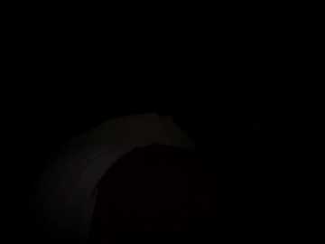 sallyeleins free recording from 2026-01-25 13:24:00