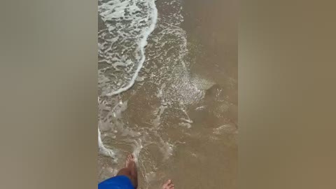 volnav free recording from 2026-01-25 06:40:00