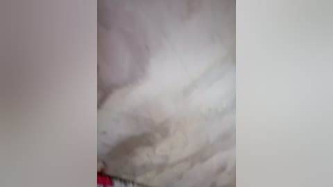 artem29aalisa29 free recording from 2026-04-14 02:21:00