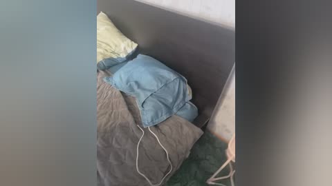 nelonia free recording from 2026-02-21 00:00:00