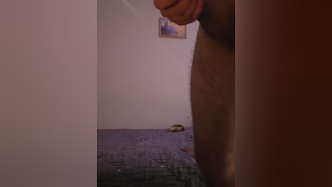 skitovteam free recording from 2026-01-26 15:51:00