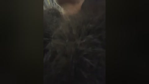 _lana_chester_ free recording from 2026-01-29 15:31:00