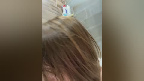 _leiaproseccina_ free recording from 