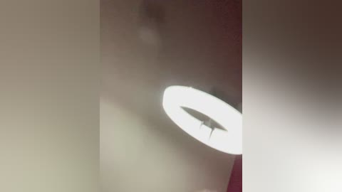 cat_meowa free recording from 2026-01-29 17:53:00