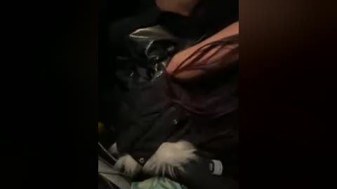 daisy12321 free recording from 