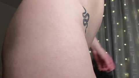 eva__queen free recording from 