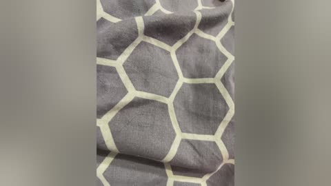 fregidaaa free recording from 