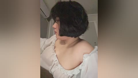 nosikk free recording from 2026-01-29 15:44:00