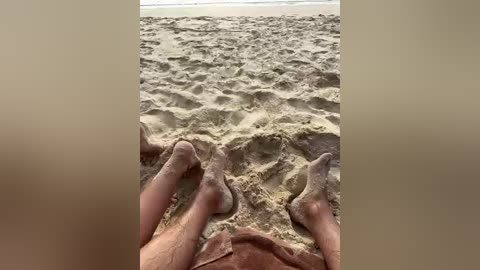 volnav free recording from 2026-01-29 09:45:00