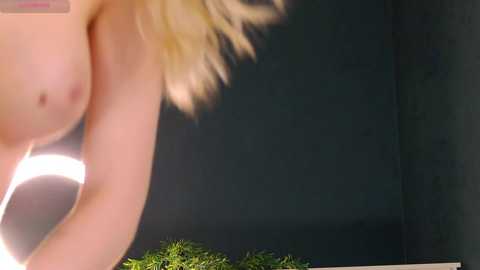 _mozaly_ free recording from 2026-01-30 12:12:00