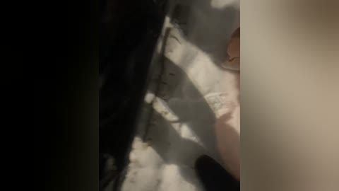 daisy12321 free recording from 2026-01-30 00:37:00