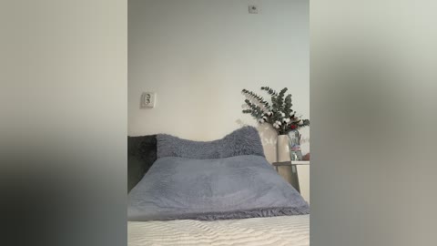 elviramilf free recording from 2026-01-30 22:16:00