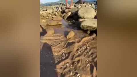 volnav free recording from 2026-04-14 02:45:00