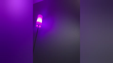 businkaa free recording from 2026-01-31 22:06:00