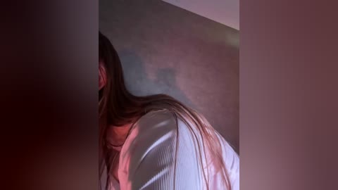 _summer_ free recording from 