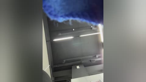 adelaida1001 free recording from 