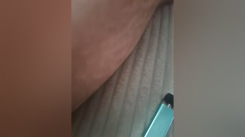 cat_bars69 free recording from 2026-02-01 05:09:00