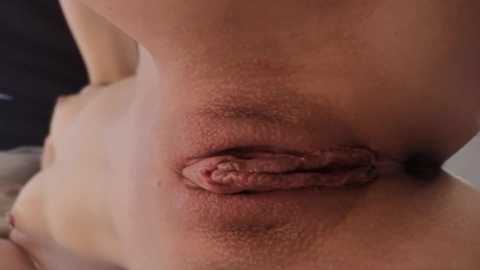 _miray_ free recording from 2026-02-02 07:57:00