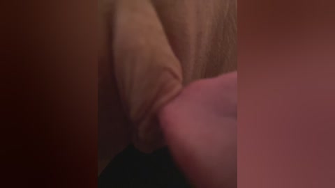 chanel77777 free recording from 2026-02-02 03:30:00