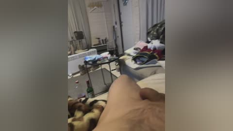 darby115 free recording from 2026-02-02 03:27:00