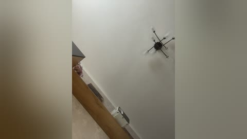 lavandaista free recording from 2026-04-07 00:38:00