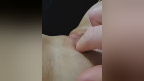 sweetpragg free recording from 2026-04-04 03:03:00