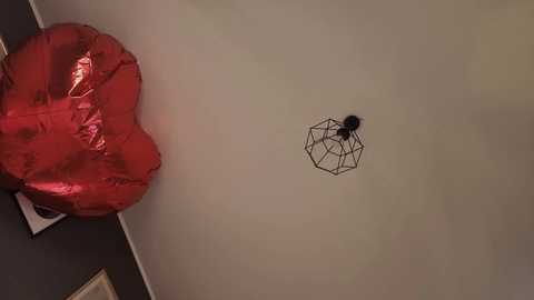 _miray_ free recording from 