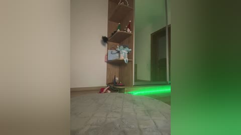 jucielussie free recording from 2026-02-04 05:37:00