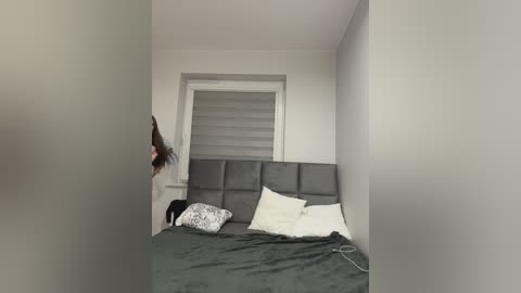 pussydollnet free recording from 2026-02-04 20:27:00