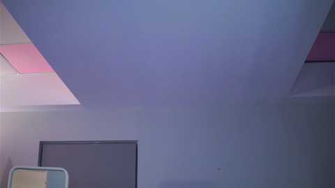 raquellevon free recording from 2026-02-04 15:48:00