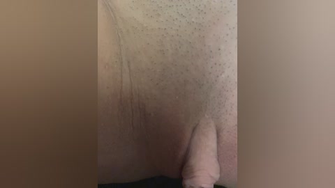 chanel77777 free recording from 2026-02-05 14:44:00