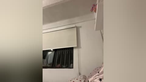 sallyeleins free recording from 2026-02-05 02:45:00